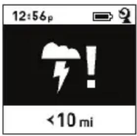 BUSHNELL BackTrack FishTrack - Lightning Indicator Warning: - 1