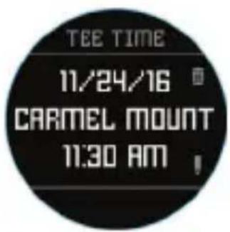 BUSHNELL Excel - Swing Pro - 2
