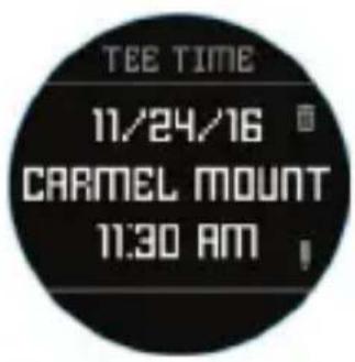 BUSHNELL Excel - Swing Pro - 2