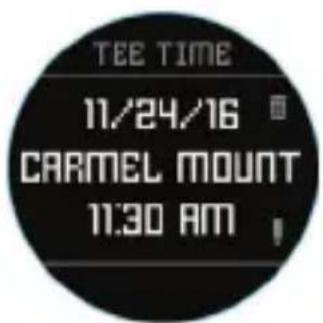 BUSHNELL Excel - Swing Pro - 2