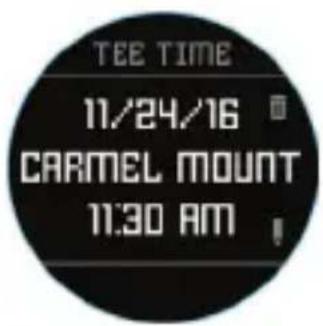 BUSHNELL Excel - Swing Pro - 2
