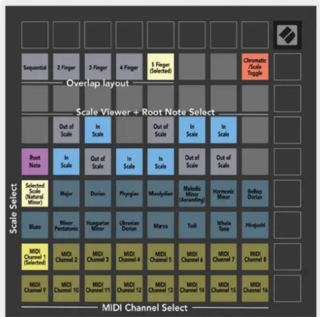 NOVATION Launchpad X - Les Paramètres du Mode Note - 1