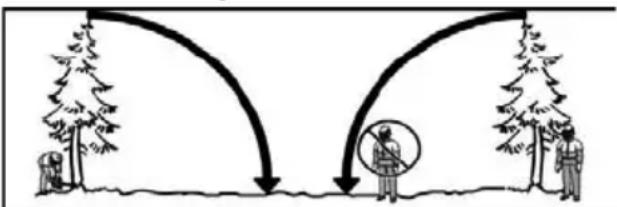 POULAN Pro PP20VA46 - PLANNING - 1