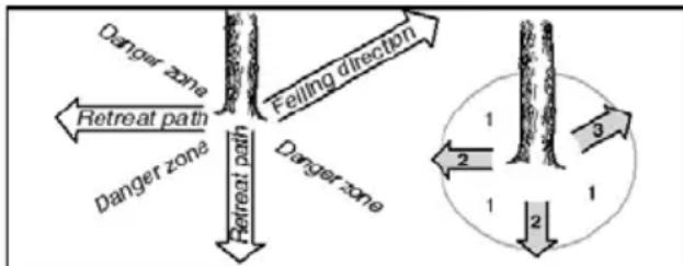 POULAN Pro PP20VA46 - PLANNING - 2