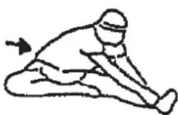 Christopeit TM 2 Pro de Luxe - Warm up exercises (Warm Up) - 3