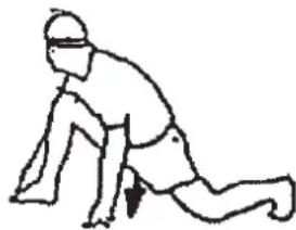 Christopeit TM 2 Pro de Luxe - Warm up exercises (Warm Up) - 4