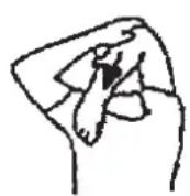 Christopeit CXM 7 - Warm up exercises (Warm Up) - 1