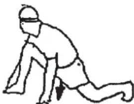 Christopeit CL 2 - Exercices d'échauffement (Warm Up) - 4