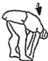Christopeit CL 2 - UnpaxHeHHIpa3MHKnpeep TpeHnpOBKo - 2