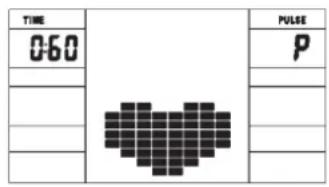 Christopeit CL 2 - TEST-Pulse Recovery: - 1