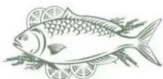THOMSON THLR 360 WH - Poisson et fruits de mer - 1