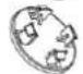 THOMSON TH BI 68140 WD - Accessoires - 3