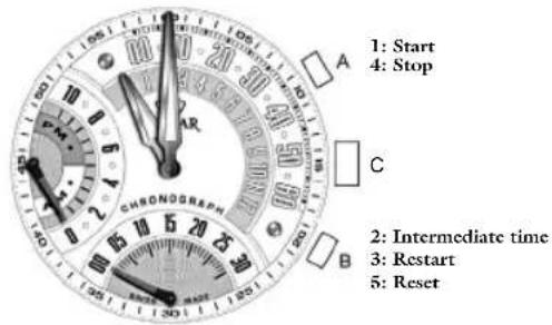 JAGUAR J657 - Intermediate time - 1