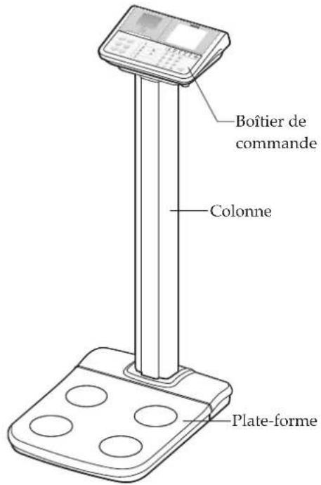 TANITA DC360 - Version avec afficheur séparé Version montée sur colonne - 2