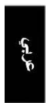 ORIENT Classic FM02002B - [FM(46U)FD(46N）EZ(46J)] - 5