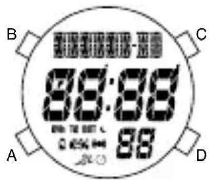 Michael Kors Runway MK6589 - DIGITAL X1 - 1