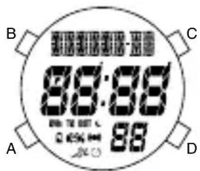 Michael Kors Parker MK6176 - Remise à zéro du chronomètre - 1