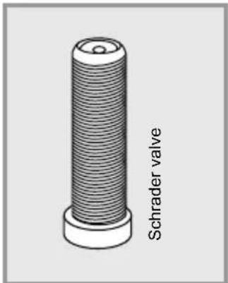 Schrader valve