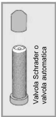 Valvola Schrader o valvola automatica