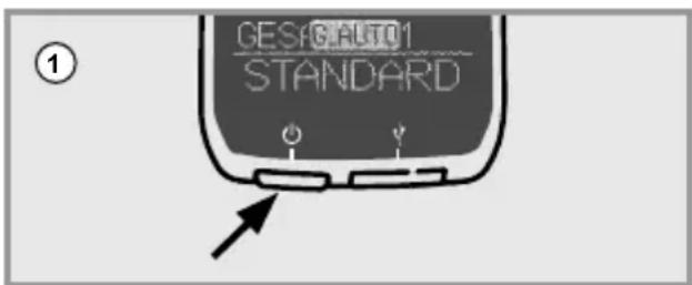 GESI&AUTO1 STANDARD