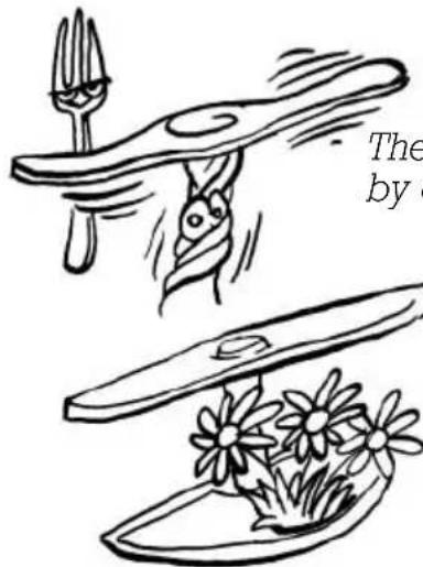 EDESA VE 031 SLX - The dishes do not come out as clean and shining as you expect. - 4