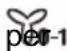 ELECTROLUX LFP539X - Per far funzionare la cappa: - 1