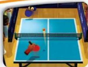 NINTENDO Wii Play (Wii) - WiiPlay - 1