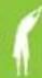NINTENDO Wii Fit (Wii) - Préférences - 3