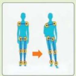 NINTENDO Wii Fit (Wii) - La importancia del equilibrio - 1