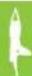 NINTENDO Wii Fit (Wii) - Getting Started - 4