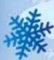 NINTENDO We Ski (Wii) - Sharing Photos - 4