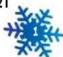 NINTENDO We Ski (Wii) - CONTENTS - 1