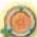 NINTENDO We Ski (Wii) - CLASSEMENT DE SKI - 5