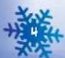 NINTENDO We Ski (Wii) - ABOUT Mii™ - 4