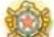NINTENDO We Ski (Wii) - CLASSEMENT DE SKI - 11