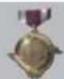 NINTENDO Sin and Punishment Star Successor (Wii) - MÉDAILLE - 1