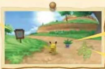 NINTENDO PokePark Wii Pikachus Adventure (Wii) - PANTALLA DEL JUEGO - 1