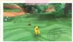 NINTENDO PokePark Wii Pikachus Adventure (Wii) - Pilla pilla (Chase) - 1