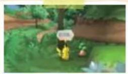 NINTENDO PokePark Wii Pikachus Adventure (Wii) - Cache-cache (Hide-and-Seek) - 1
