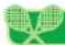 NINTENDO New Play Control! Mario Power Tennis (Wii) - Torneo - 1