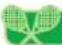 NINTENDO New Play Control! Mario Power Tennis (Wii) - Modalidades de juego - 1