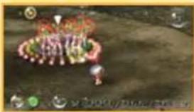 NINTENDO New Play Control! Pikmin (Wii) - B CALLING PIKMIN - 1