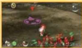 NINTENDO New Play Control! Pikmin (Wii) - B CALLING PIKMIN - 3