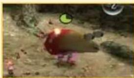 NINTENDO New Play Control! Pikmin (Wii) - PIKMIN CAN DO MANY THINGS! - 1