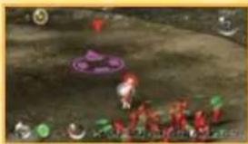 NINTENDO New Play Control! Pikmin (Wii) - SEPARAR A LOS PIKMIN - 4