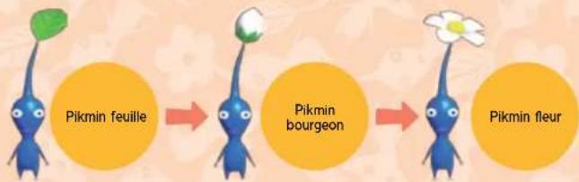 NINTENDO New Play Control! Pikmin (Wii) - LA MATURATION DES PIKMIN - 1