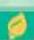 NINTENDO New Play Control! Pikmin (Wii) - LA PANTALLA DEL JUEGO - 1