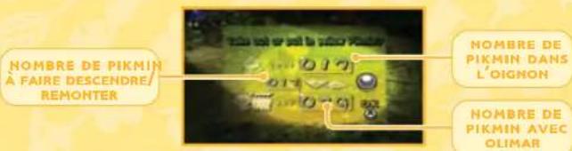 NINTENDO New Play Control! Pikmin (Wii) - Cueillir Les Pikmin - 2