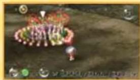 NINTENDO New Play Control! Pikmin (Wii) - B Appeler Les Pikmin - 1