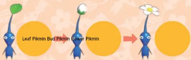 NINTENDO New Play Control! Pikmin (Wii) - How Pikmin Grow - 1
